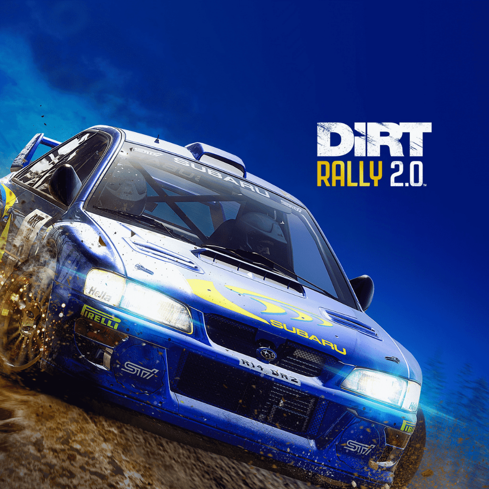Dirt Rally 2.0 (PS4)