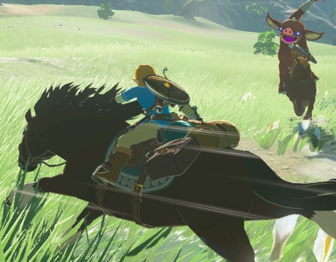 The Legend of Zelda: Breath of the Wild Código (Nintendo Switch)