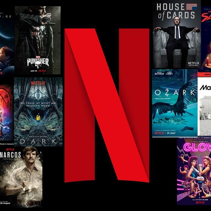 Netflix: 12 meses - Plan Básico