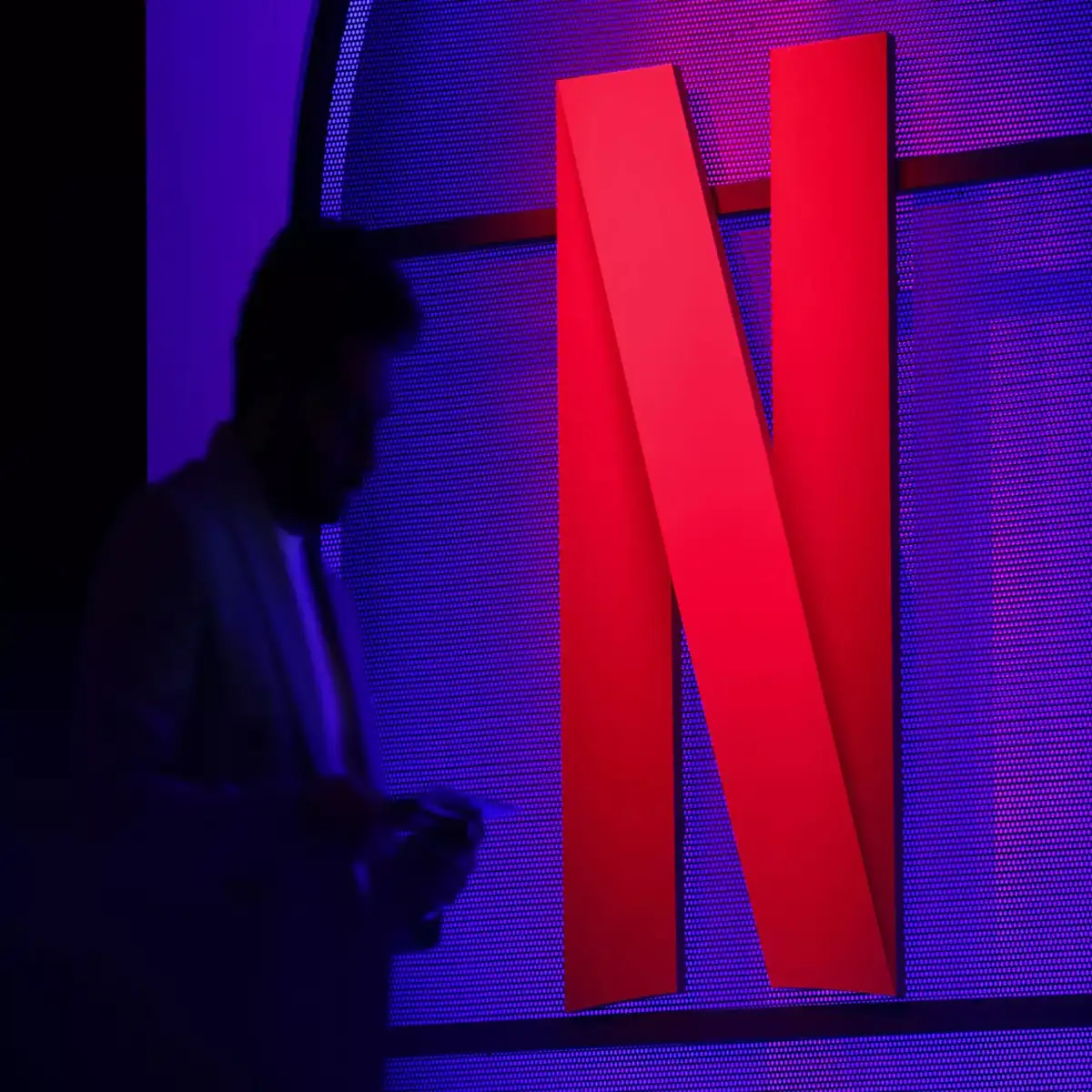 Netflix: 12 meses - Plan Básico