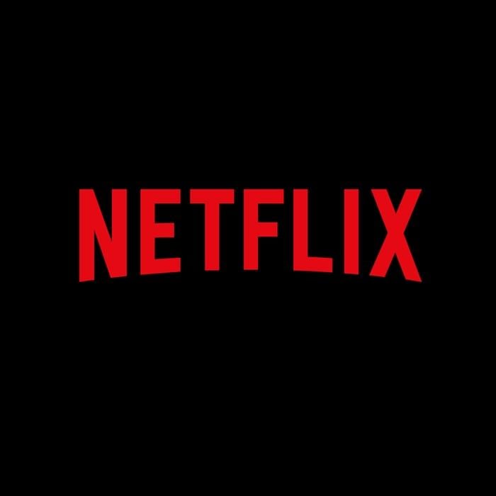 Netflix: 12 meses - Plan Básico