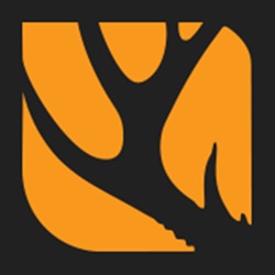 theHunter: Call of the Wild (PS4)